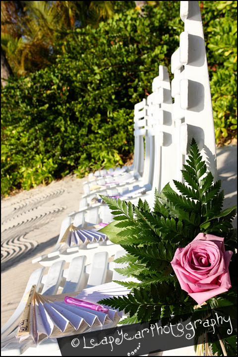 Sanibel Harbor Resort Wedding Photographer Sanibel Harbor Resort Wedding Photographer