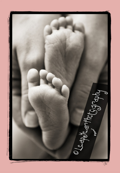 Sanibel Baby Photographer